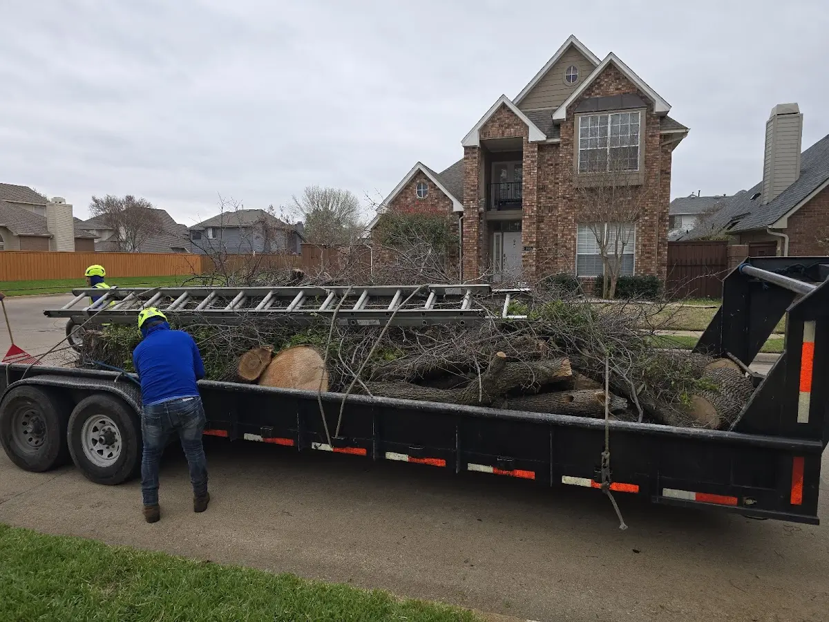 Expert Tree Fertilization with proper safety equipment in Woodstock